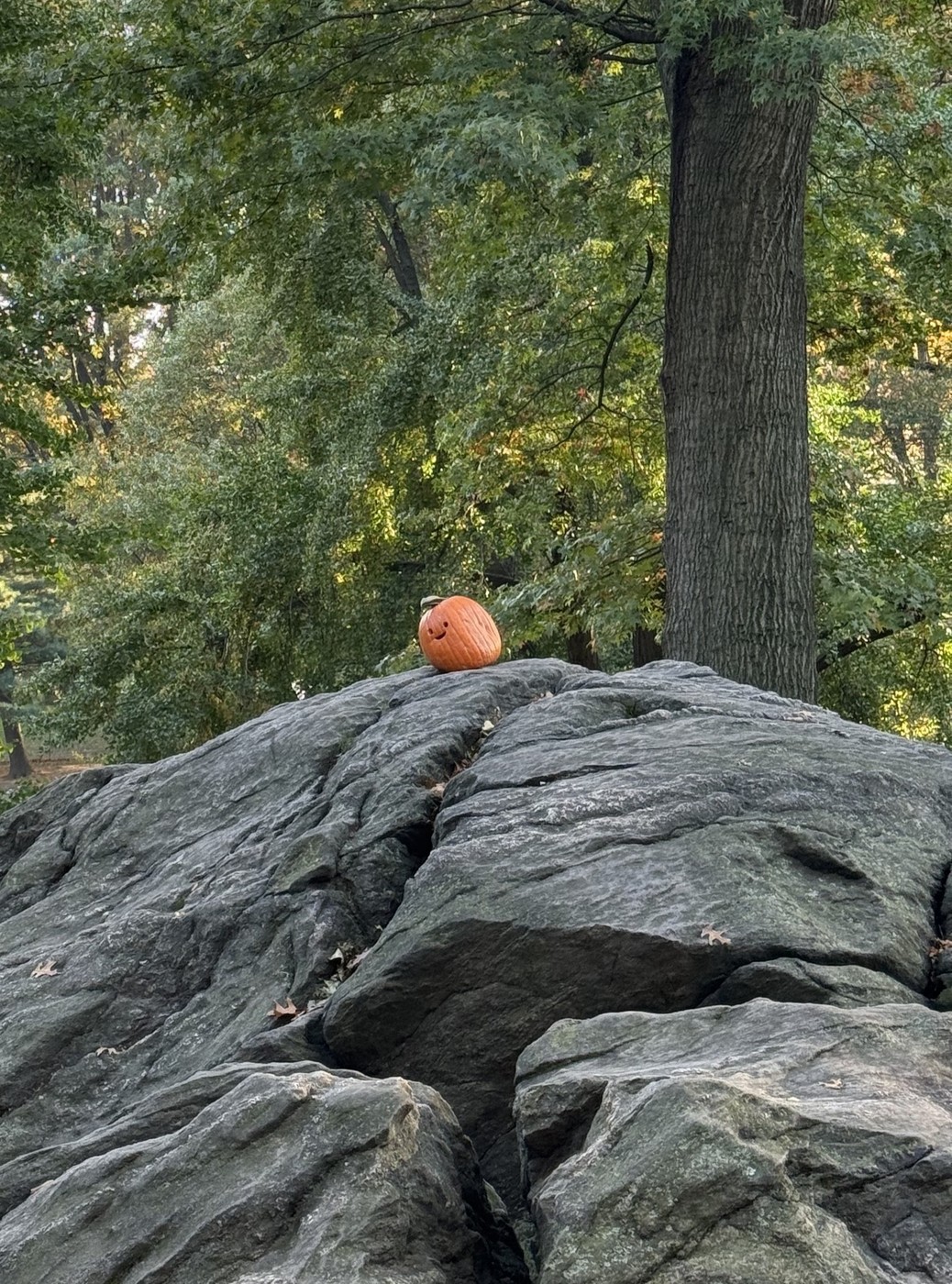 A small jack-o-lantern in Central Park